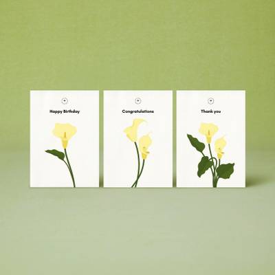 Sustainable Beauty Travel Amenities 2